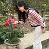 Du Nguyen - Image 2