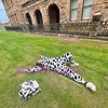 Happy Cow - Image 15