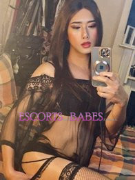 Image of 835a367c-84d8-449c-95eb-0baaea65ecaa