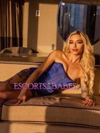 Image of 8621e91a-e5bd-47f3-9282-e9fff23892ce