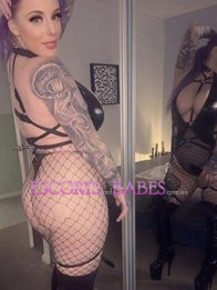 Image of 87a33ed0-074a-4d39-8cea-2e4e0cb719ee