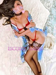 Image of 8d1e4d11-fab9-4cd5-ab58-c4f69d8ecf2c