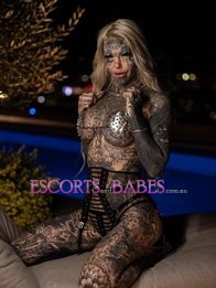 Image of 95de86cf-fcaa-4a53-908c-d75d6315f3b3