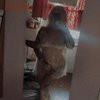 Softandpeachy69 - Image 6