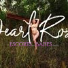 Pearl Rose - Image 4