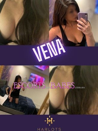 Image of Vena 0480 094 199