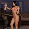 Ariana laos - Image 6