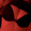NINA LUXE - Image 1