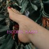 Josefina - Image 11