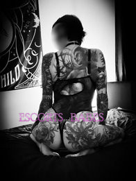 Image of b1f7bd4d-81ad-497f-a1b9-59aa727208e1