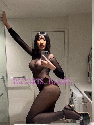 Image of TS CANDYSOHOT