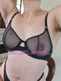 Image of b76b10f1-5e46-4f76-b758-4cf3ff765e30