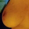 Cheeky Cherry - Image 1