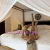 Mandy Riley - Image 10