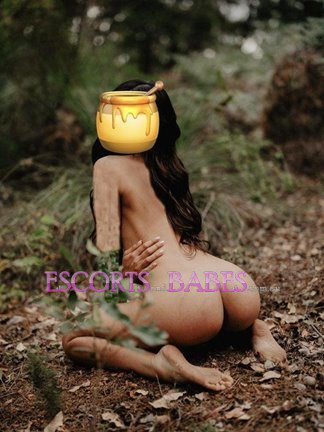 Image of Honey Sweet