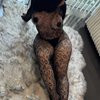 Sofialx - Image 4