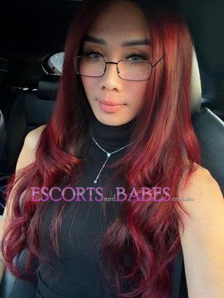 Image of Viet Trans