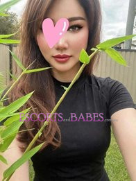 Image of bea7ab0f-e549-4201-8c10-c5336eea7b25