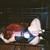 Roxy - Image 10