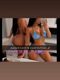 Image of bf1410d3-e60e-42ea-a181-b7c2411ceb94