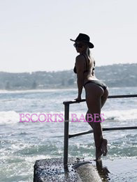 Image of c2ae9c94-8b31-481e-a3c4-b688d530ecc1