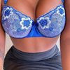 Dessy - Image 1
