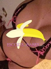 Image of c81f46a5-c3c8-4e75-ba83-28ed42aa6dd9