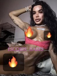 Image of c92fdeb8-70e2-49d7-bb11-c271e4ec213a