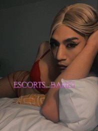 Image of cd62c0b6-b82c-4947-86ac-89caee90134f