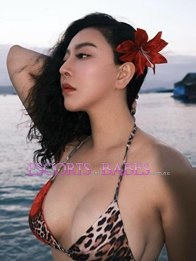 Image of cf275789-568a-4dbf-a47b-a47fa52d59af