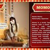 HollywoodMassage88A - Image 18