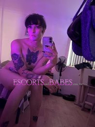 Image of d0066efe-782e-4bbc-8f44-d8cfb3959f44