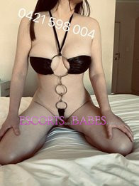 Image of d04ae9ef-3660-4292-b32e-086ee3fec73c