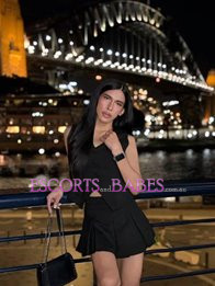 Image of d1e6e1aa-1789-407f-a364-5db4db0c90cd