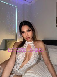 Image of d41dd515-be19-442c-aa96-325375d664d5