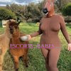 Secret Garden - Image 5