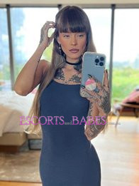 Image of d90743a5-9e14-4b07-bc06-771a8b977ee1