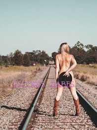 Image of d9e9dcaa-f99f-4478-b47f-4d02ccb2f265