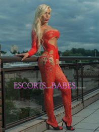 Image of e039cdf7-9619-44ab-8ddb-57fd59d2e35c