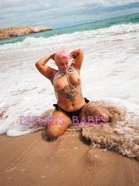 Image of e593d408-d38b-4bbf-ac3f-2d27485b1cc9