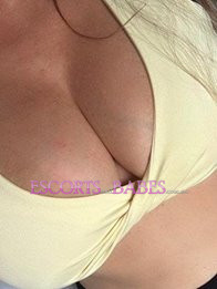 Image of e98fa617-e1bd-43aa-bd0f-cdc62e3d8cce