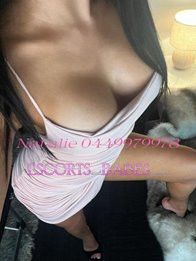 Image of e9e7c387-88ae-4087-afdd-571f7b6bea04