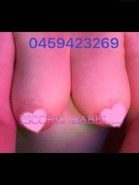 Image of ecd0ee7e-c80e-4d2f-a314-bc848ea788b0