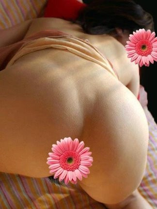 Image of May Flower