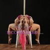 Pink33xxx - Image 4