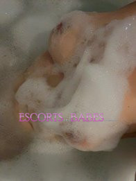 Image of f5394264-48ee-499c-8ada-3774de5566a2