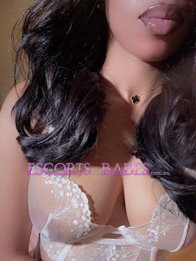 Image of fa952c7a-1f28-4b8a-82b9-dfca99aa2cd3