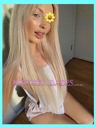 Image of fb043833-b235-4123-934a-085bd5a33cf2