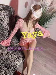 Image of fb555c97-f53f-4453-9e7f-8932b1e44469