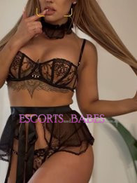 Image of fb7abbe8-8d0e-480a-9c76-5dd745a8dc15